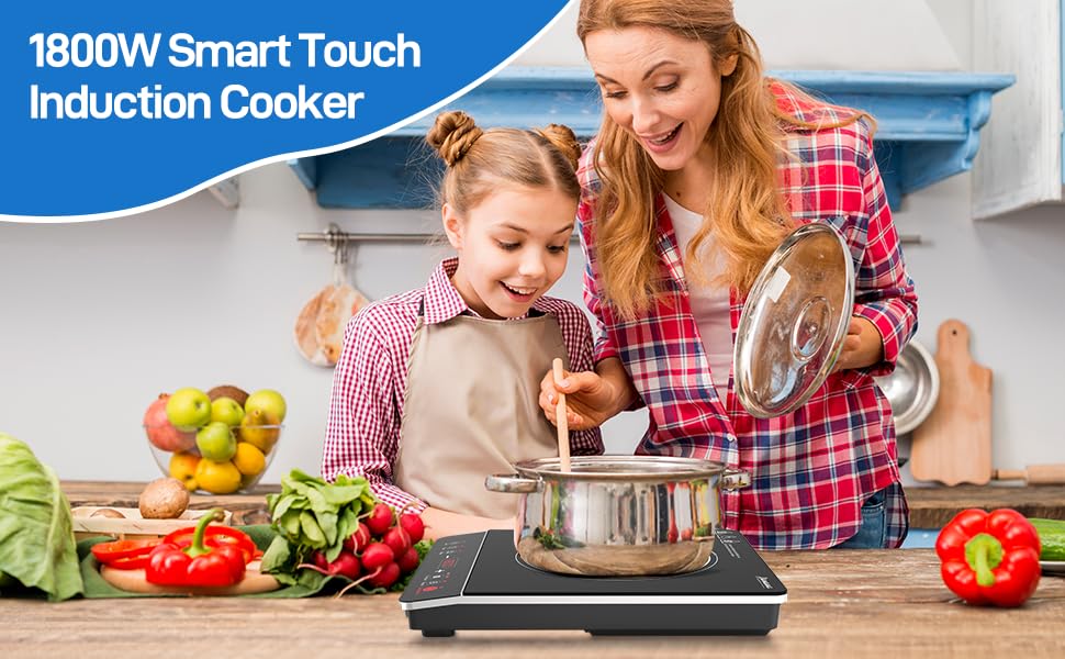 Panana Portable Induction Cooktop Hot Plate Countertop Burner 1800W, 10 Temp Levels, Timer, Auto-Shut-Off, Touch Panel, LED Display, Auto Pot Detection, Child Safety Lock (LED Display - Silver)