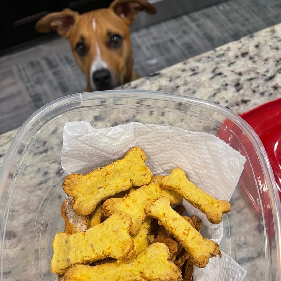 Homemade Dog Treats Set Silicone Molds Cookie Cutters with Healthy Vet Approved Recipes, Puppy Treats with Paws & Bones Food Grade Silicone Trays and for Candy and Dog Ice Cubs