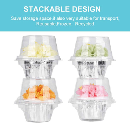 50 Pcs Cupcake Boxes Plastic Individual Cupcake Containers Single Cupcake Carrier with Connected Airtight Dome Lid for Party