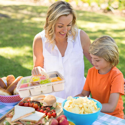 Snackle Box Container, 8 Compartments Divided Serving Tray with Lid and Handle, Portable Snack Box Containers for Veggie Tray Charcuterie Boxes Fruit Storage Candy Organizer (8 Compartments)