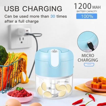 EASYSPEED Electric Garlic Chopper 1Cup, Mini USB Charging Wireless Food Processor with 304 Stainless Steel Blades, Portable Kitchen Meat Grinder for Onion, Garlic, Ginger, Chili, Fruit, Baby Food