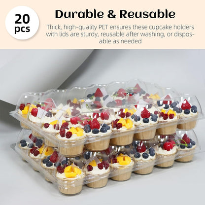 24 Count x 10 Sets Plastic Cupcake Containers, Durable and BPA-Free Cupcake Holder with Lid for Easy Transport Storage, Stackable Clear Cupcake Carriers, Reusable Dessert Boxes