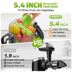 Cold Press Juicer, 5.4" Wide Feed Chute Juicers with 350w Power Motor, Slow Masticating Juicer Machine with High Juice Yield for Whole Vegetables & Fruits, Easy to Clean, Classic Silver
