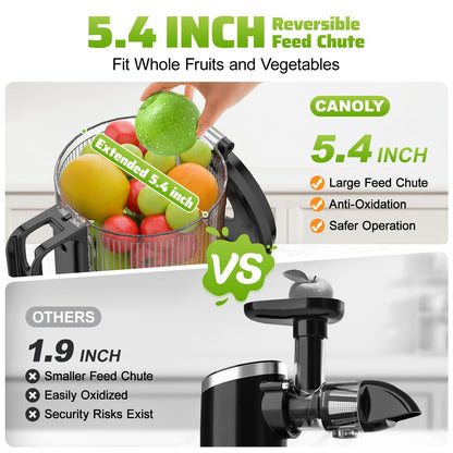 Cold Press Juicer, 5.4" Wide Feed Chute Juicers with 350w Power Motor, Slow Masticating Juicer Machine with High Juice Yield for Whole Vegetables & Fruits, Easy to Clean, Classic Silver