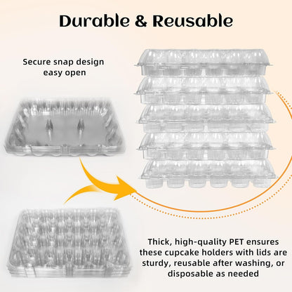 24 Count x 10 Sets Plastic Cupcake Containers, Durable and BPA-Free Cupcake Holder with Lid for Easy Transport Storage, Stackable Clear Cupcake Carriers, Reusable Dessert Boxes