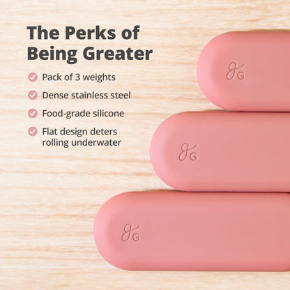 Greater Goods Sous Vide Weights with Silicone Shell and Stainless Steel Center, The Perfect Accessories for Completing a Sous Vide Set, Designed in St. Louis, Pack of 3 (Pink)