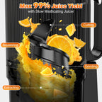 Juicer Machines with 6.1" Extra Large Feed Chute, Cold Press Juicer For Whole Vegetables and Fruits, 350W Professional Masticating juicer Easy to Clean for Batch Juicing (Titanium Gray)