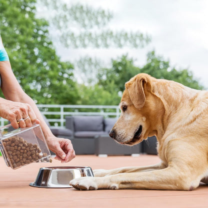 Palksky 468-Cavity Mini Round Silicone Mold/Chocolate Drops Mold/Dog Treats Pan/Semi Sphere Gummy Candy Molds for Ganache Jelly Caramels Cookies Pet Treats Baking Mold (1 Cavity - 0.02 Oz)