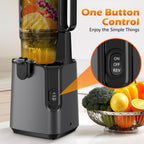 Juicer Machines with 6.1" Extra Large Feed Chute, Cold Press Juicer For Whole Vegetables and Fruits, 350W Professional Masticating juicer Easy to Clean for Batch Juicing (Titanium Gray)