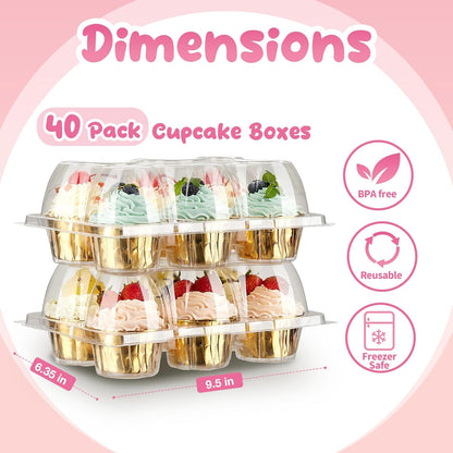 (6 Count x 40 Sets) Stackable Cupcake Containers with 240 Pack Liners, Plastic Cupcakes Boxes Holders for 6 cakes, High Tall Dome Lid Cupcakes Carrier, Clear Cupcake Trays/Containers/Holders
