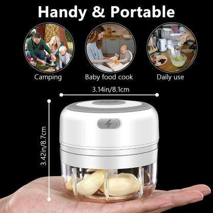 Electric Mini Garlic Chopper, 100ML Food Chopper Garlic Mincer USB, Vegetable Chopper, Onion Chopper, Portable Small Food Processor for Garlic, Ginger, Chili, Vegetables