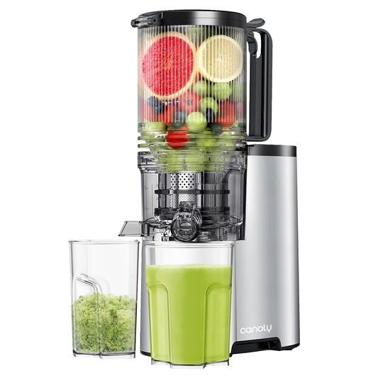 Cold Press Juicer, 5.4" Wide Feed Chute Juicers with 350w Power Motor, Slow Masticating Juicer Machine with High Juice Yield for Whole Vegetables & Fruits, Easy to Clean, Classic Silver