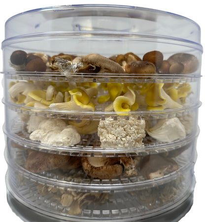 Myco Labs 350 Watt Mushroom Dehydrator with Adjustable Temperature Control and Extra Tall Trays