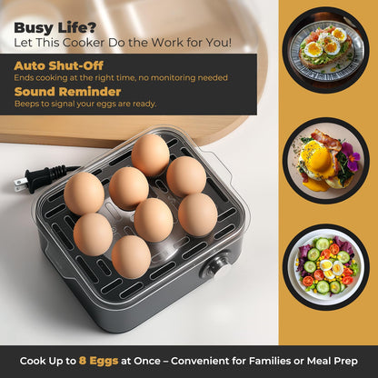 Annie & Mia Design Electric Egg Cooker, Stainless Steel 8 Egg Capacity egg boiler, 500W, Hard, Medium, Soft Boiled Egg Poacher, egg steamer, Multi-function, Knob Controled Auto Shut-Off Function