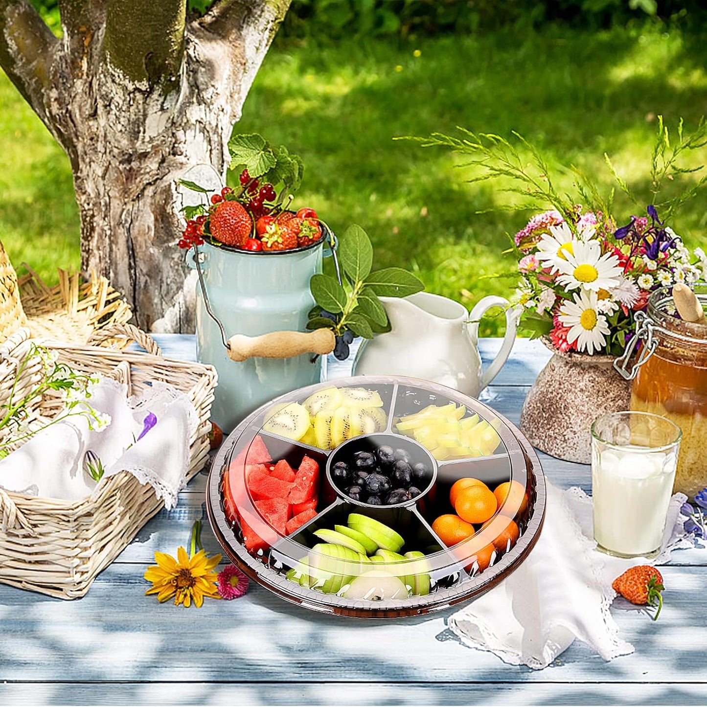 mwellewm 10 Pcs Round Plastic Appetizer Tray with Lid Divided Serving Tray, Disposable Food Storage Containers, Kids Snack, Fruit Platter Vegetable Trays for Party and Buffet