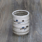 Japanese Ceramic Tea Cup And Water - Walfos® Kitchenware