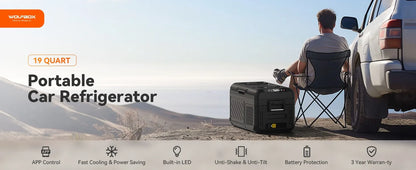 12V Portable Cooler, 19 Quart Car Fridge, RV Car Refrigerator with 12/24V DC 110-240V AC, Electric Cooler for Car, Camping Use