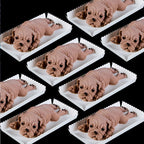 WALFOS Cute Dog Silicone Mold Mousse Cake 3D Shar Pei Mould Ice Cream Jello Pudding Blast Chilling Tool Fondant Decoration - Walfos® Kitchenware